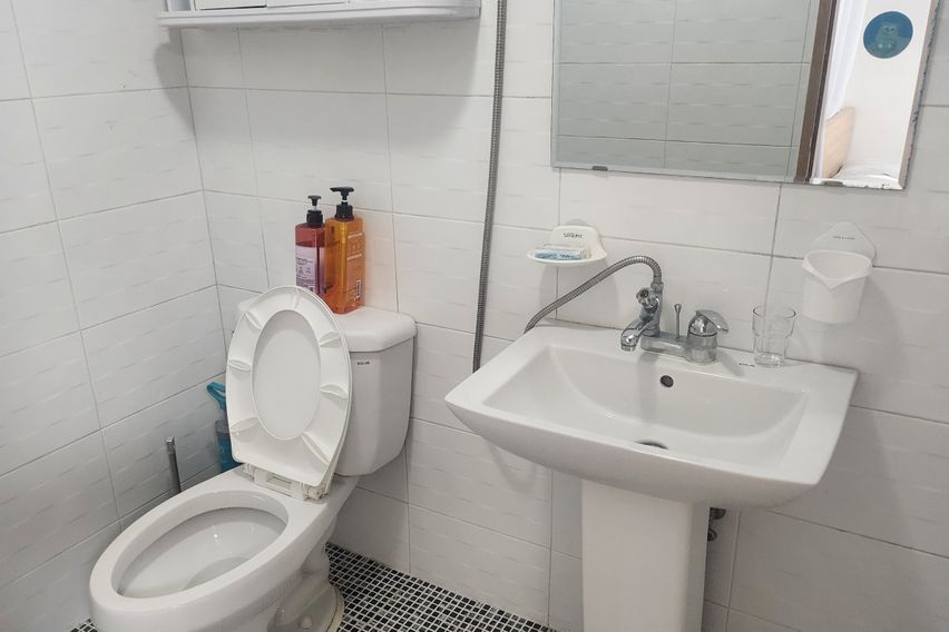 부산갈매기 501 특가