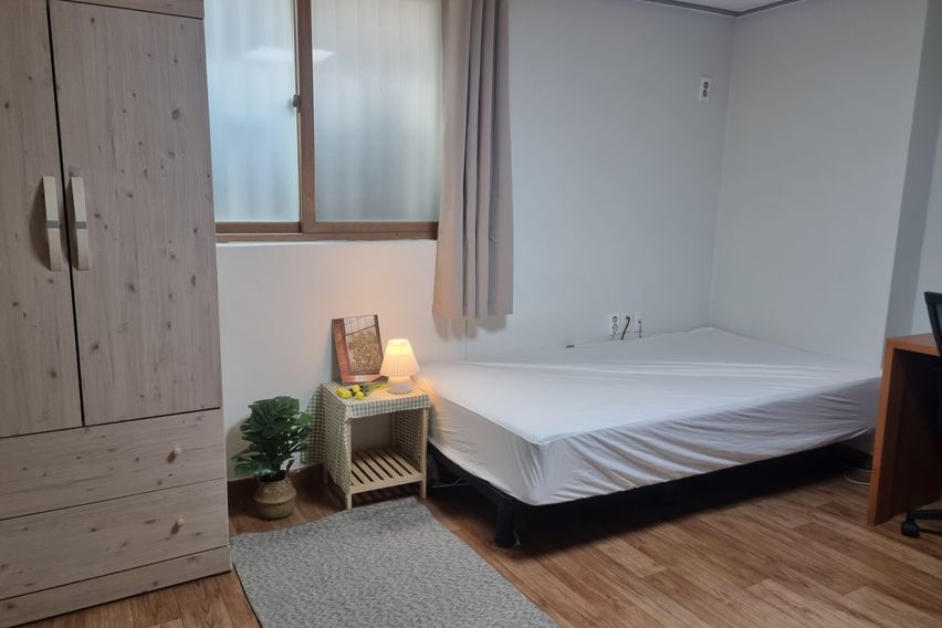 🌳계대룸룸🌸