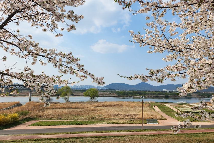 세종 소담소담 9번째 이미지