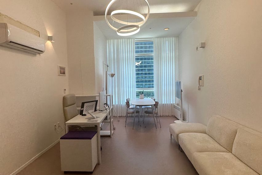 강남역 복층원룸 시티뷰 0번째 이미지