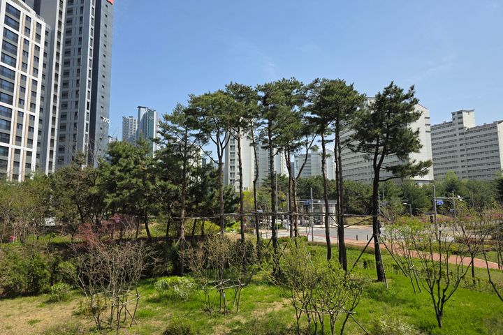 영종3룸층간소음걱정NO 12번째 이미지