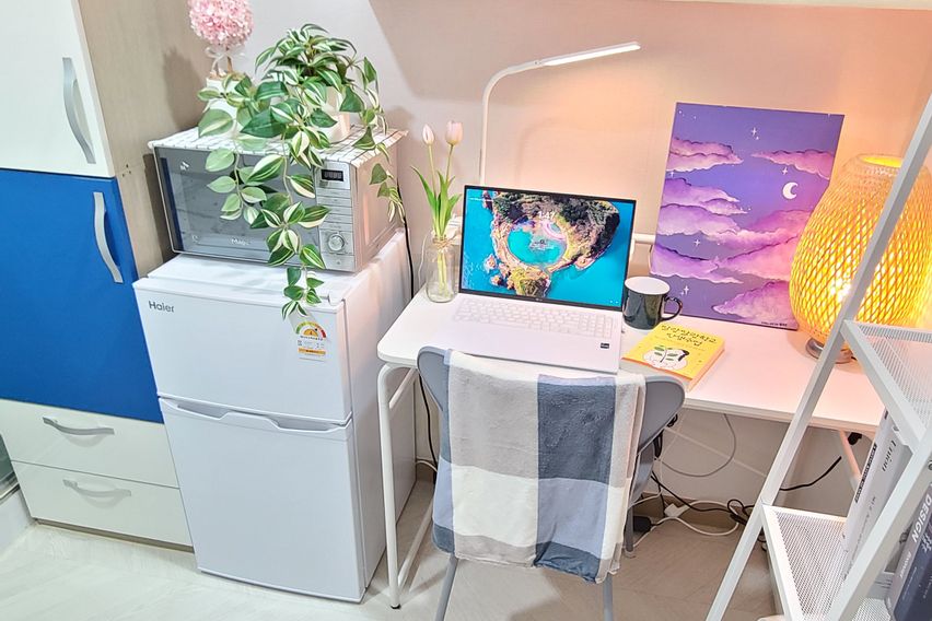 227스테이 -스탠다드