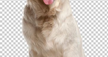 세번째방 방 이미지