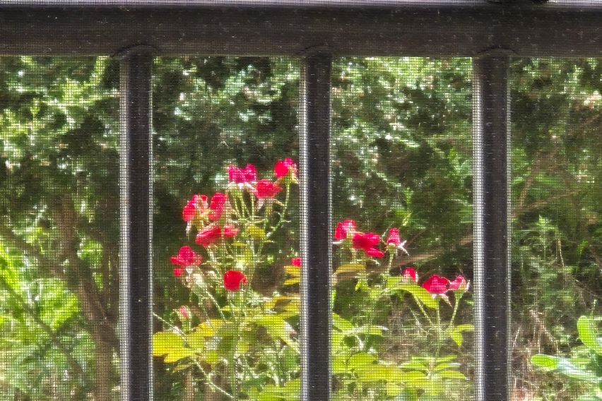 주례역코앞 23평아파트