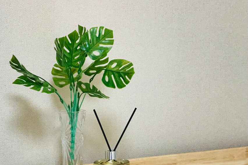 선릉 네입클로버(신규)