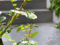 태릉 공릉 3룸 개인주 10번째 이미지