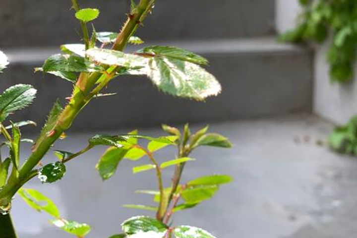 태릉 공릉 3룸 개인주 10번째 이미지