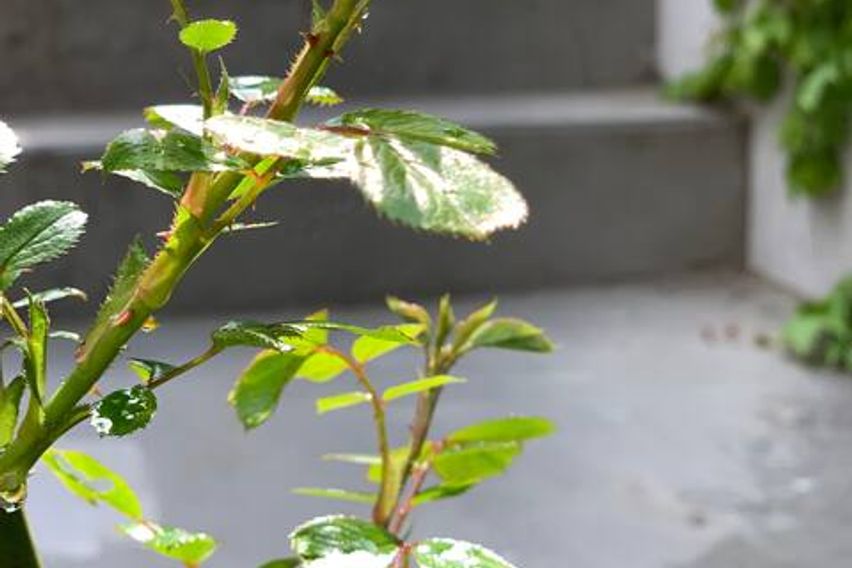 태릉 공릉 3룸 개인주 10번째 이미지
