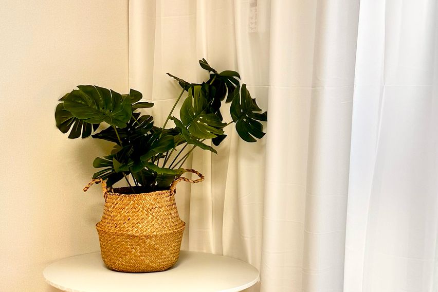 에뜨라서면(최대3인)