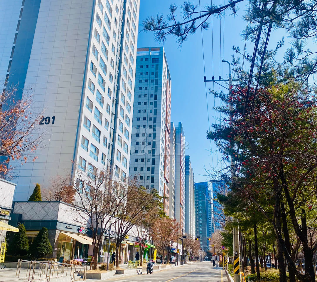 Gongdeok Station Forest View 1.5 Room 14th image