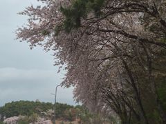 Short-term Rentals in Sacheon City 17th image