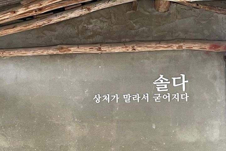 남해솔다 14번째 이미지