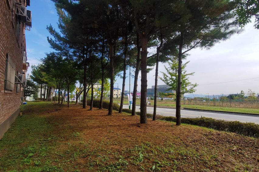 포레스트101오송 19번째 이미지