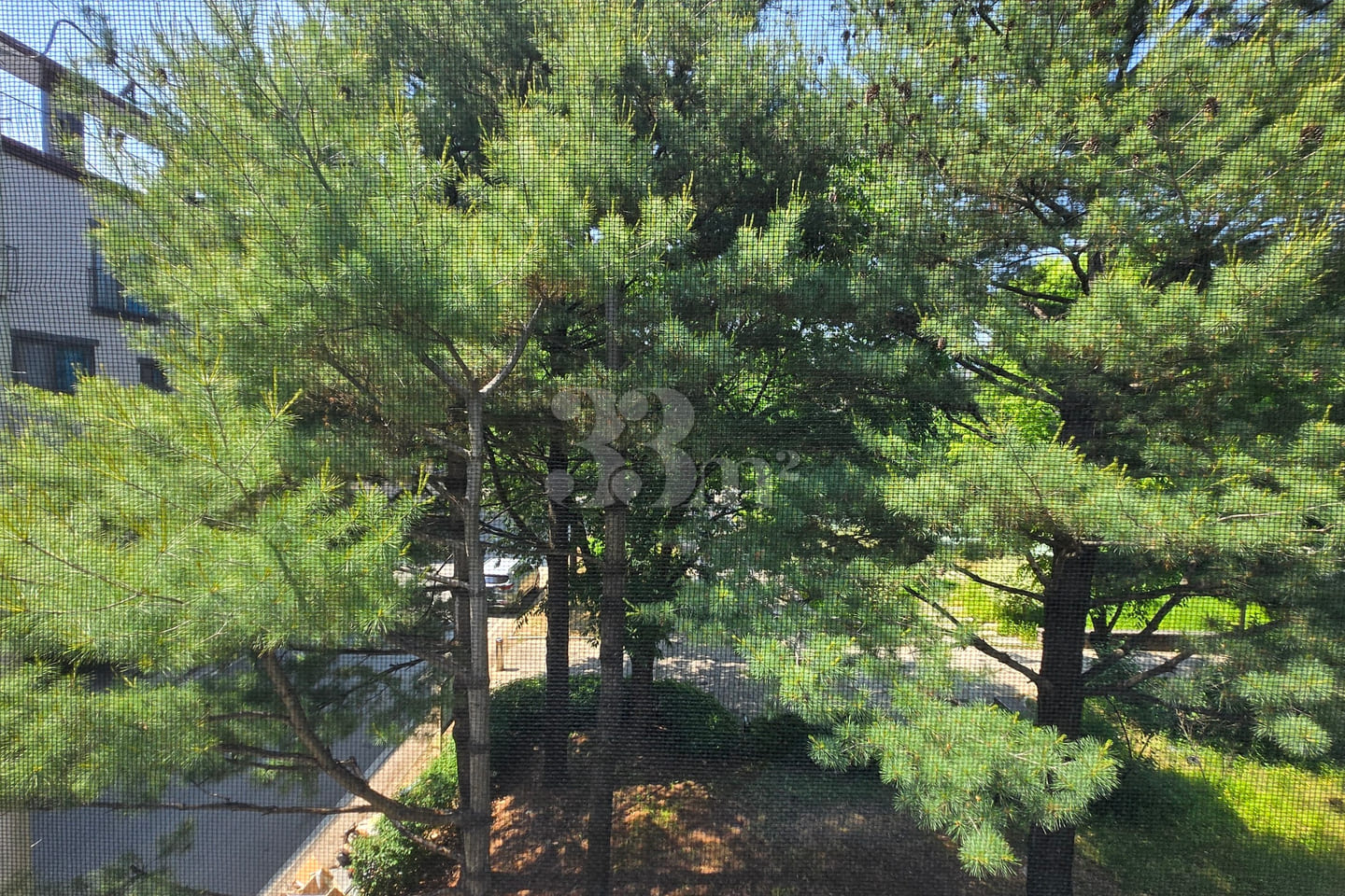 "Two-bay" unit (1.5-room apartment) in Chojun 10th image