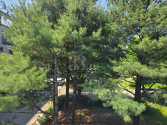 "Two-bay" unit (1.5-room apartment) in Chojun 10th image