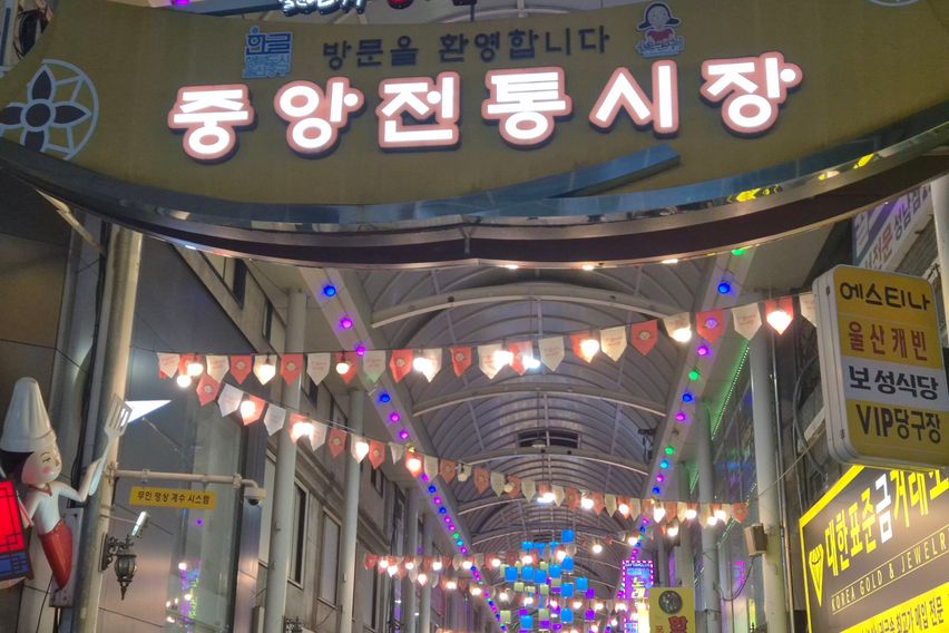 성남시내.태화강