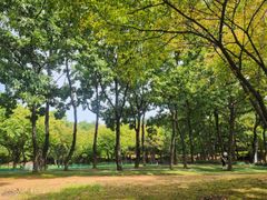 ♡화정역북한산일출뷰74 14번째 이미지