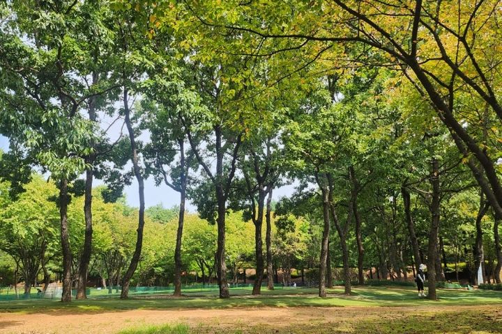 ♡화정역북한산일출뷰74 14번째 이미지