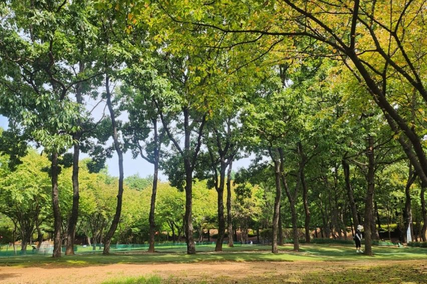 ♥️화정역북한산일출83