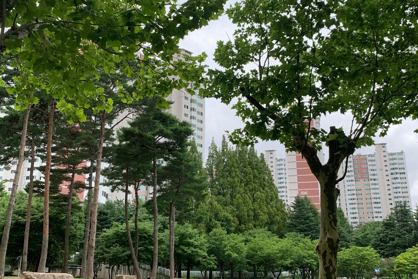 Comfortable home in Suseong-gu, Daegu 13th image