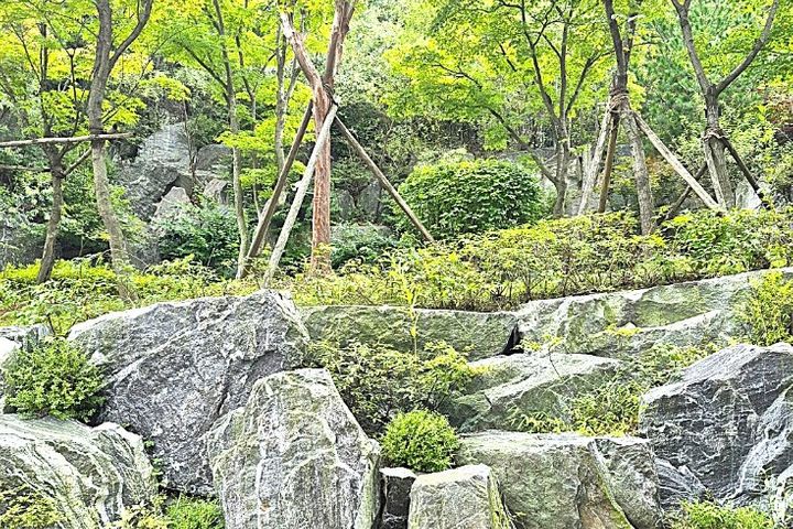 동천역34평숲속아파트 12번째 이미지