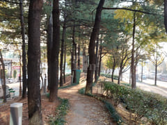 Dunsan-dong Business Trip ♡ City View 18th image