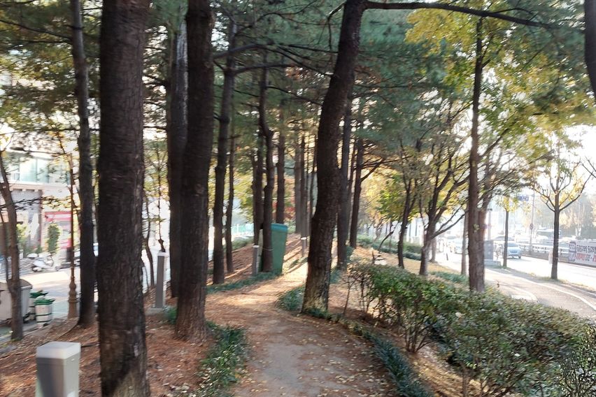 둔산동출장♡여행도시뷰