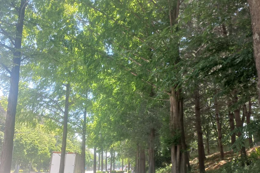 광주 솔로몬의 방 9번째 이미지