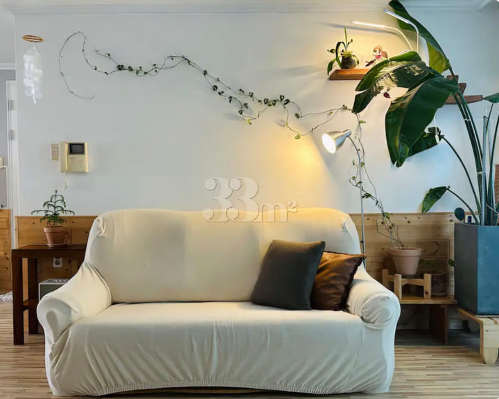 Plant house 방 이미지