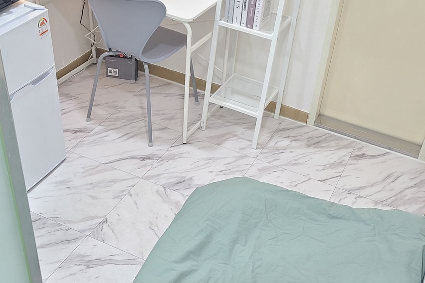 227스테이-스탠다드