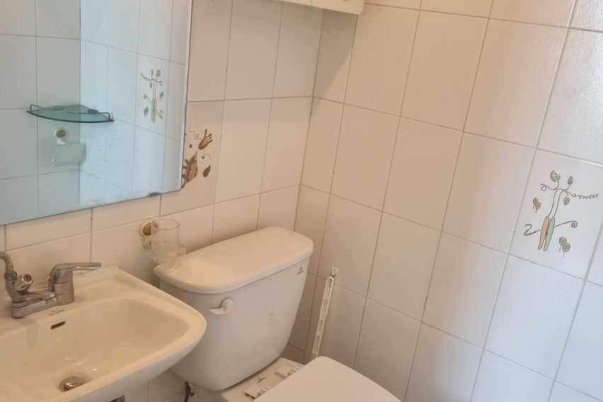 #선병원실습 차량10분 7번째 이미지