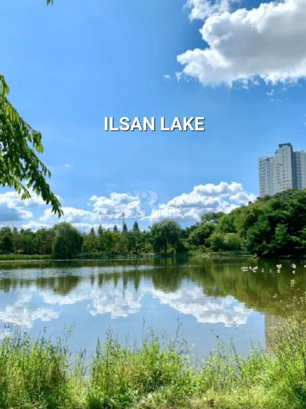 ❤️ Ilsan Camping-style Space 1 19th image