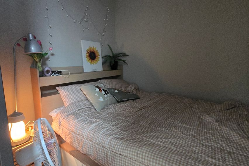 반달섬스테이 뷰맛집 