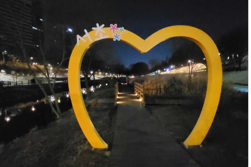 벚꽃양재카페공원 바로앞 5번째 이미지