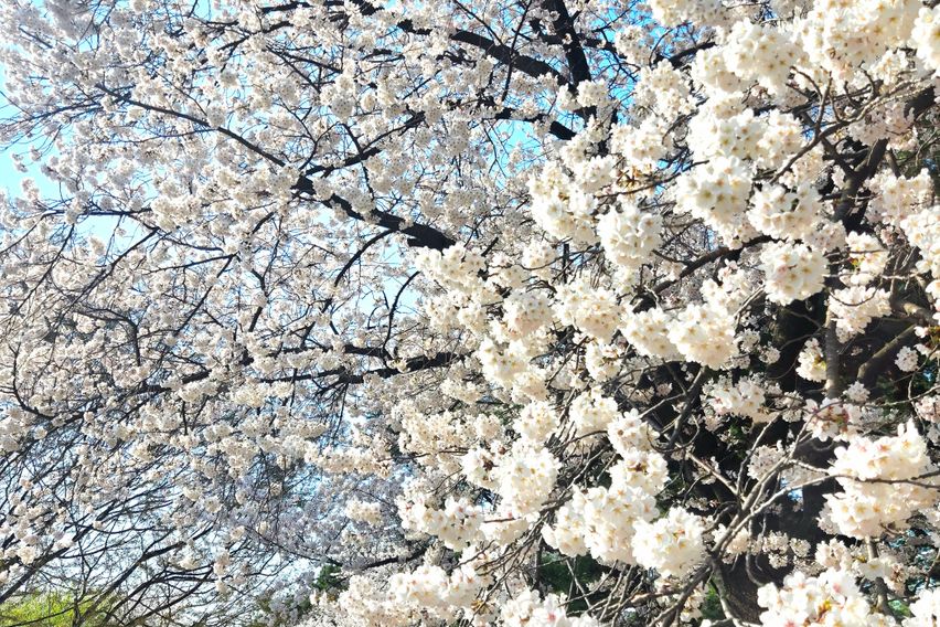 오픈특가💙깔끔복층N8 14번째 이미지