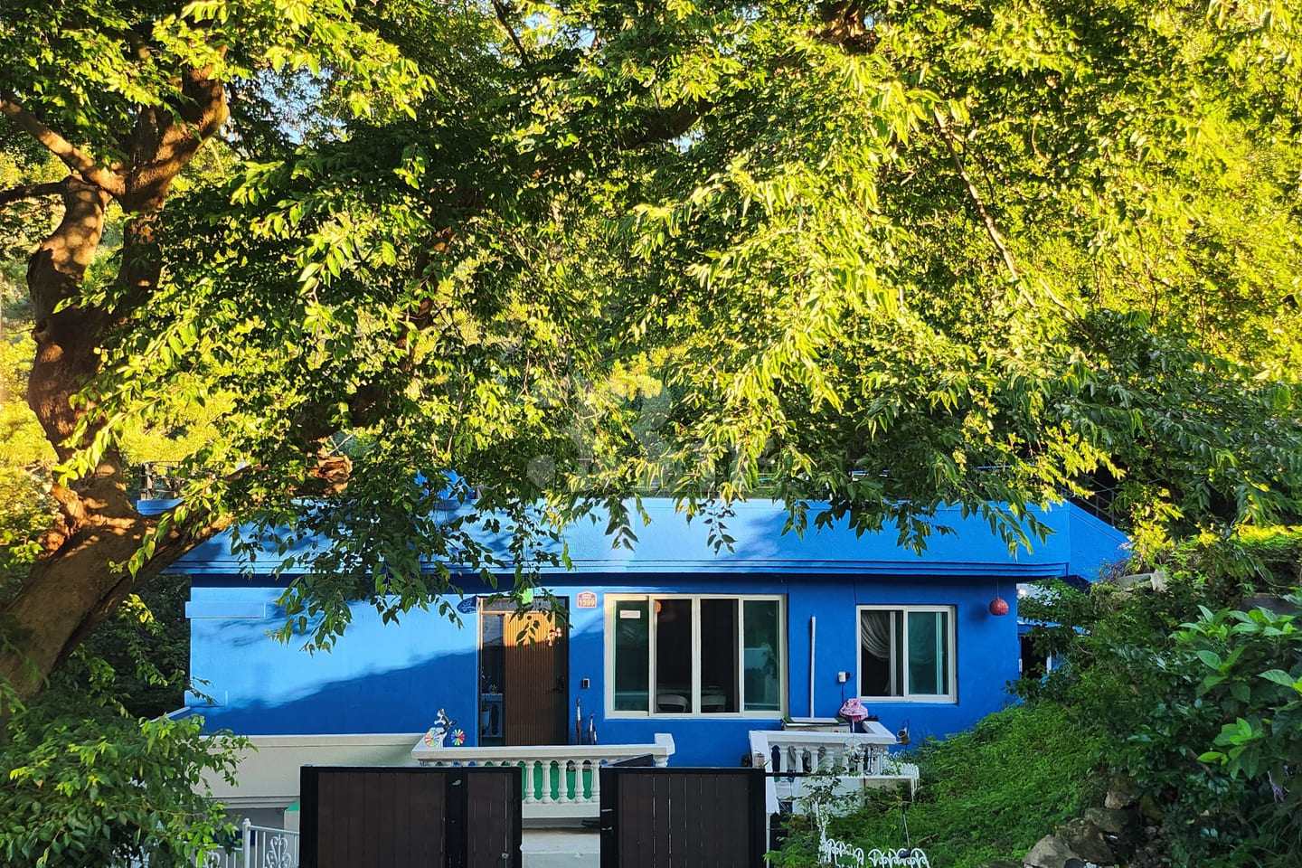 Blue House on the Hill at Dangpo Port 1th image