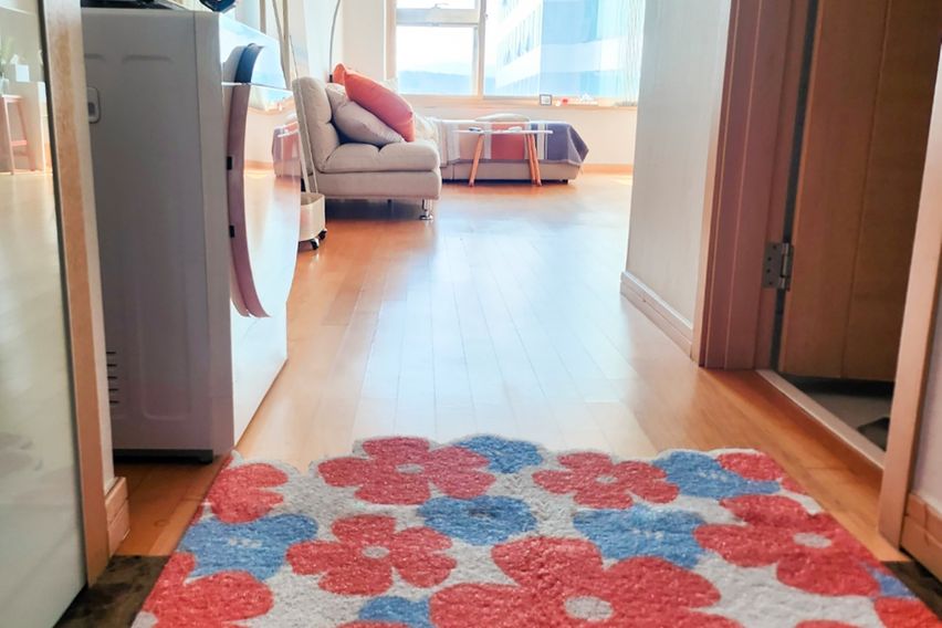 🤎정자/판교(건조기)