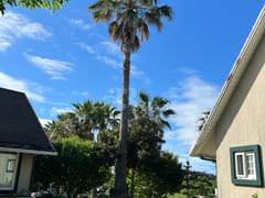 Hyeopjae Beach, Private House with a Yard 3th image