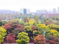 중동 복층 부천시청역 7번째 이미지