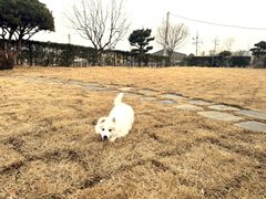 2층 복층형 헤라 14번째 이미지