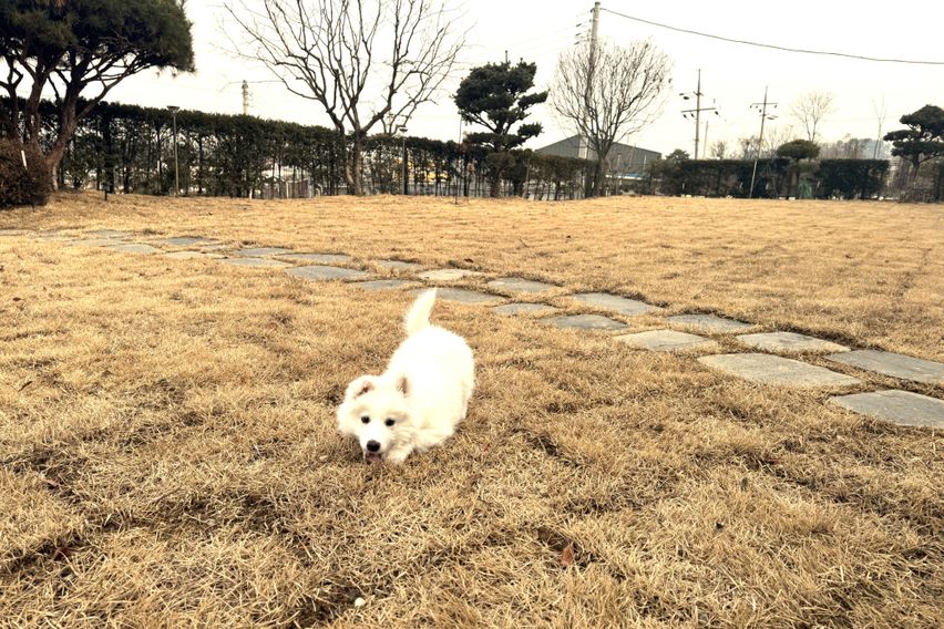 2층 복층형 헤라 14번째 이미지