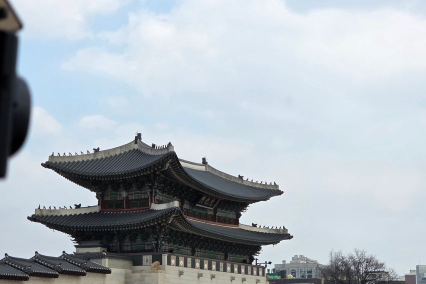 종로 올리브🌿 스테이