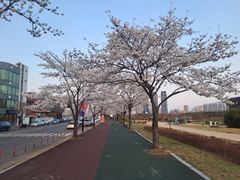 태화강국가정원과우정혁신 15번째 이미지