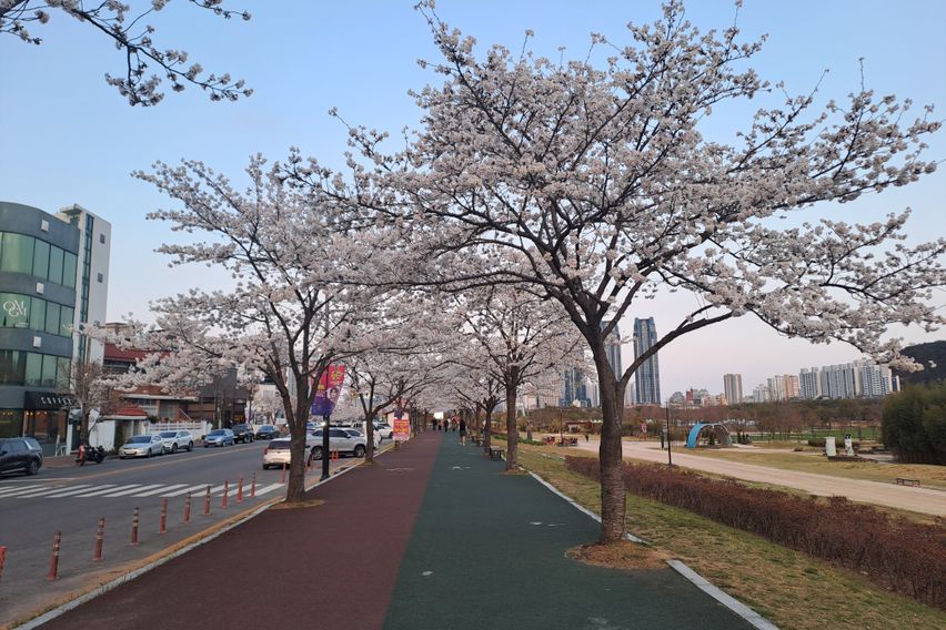 태화강국가정원과우정혁신