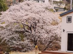 개미네 9번째 이미지