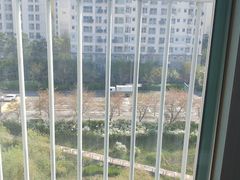 강남 6번째 이미지