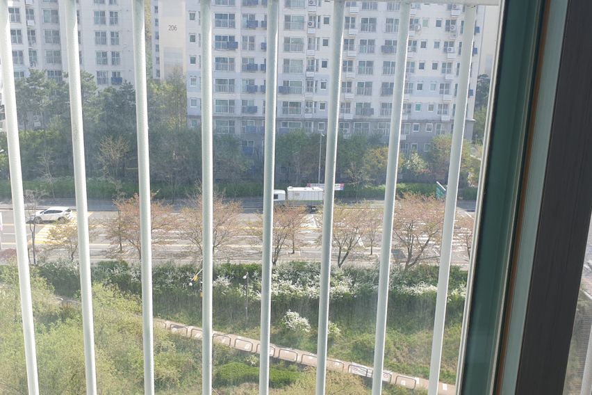 강남 6번째 이미지