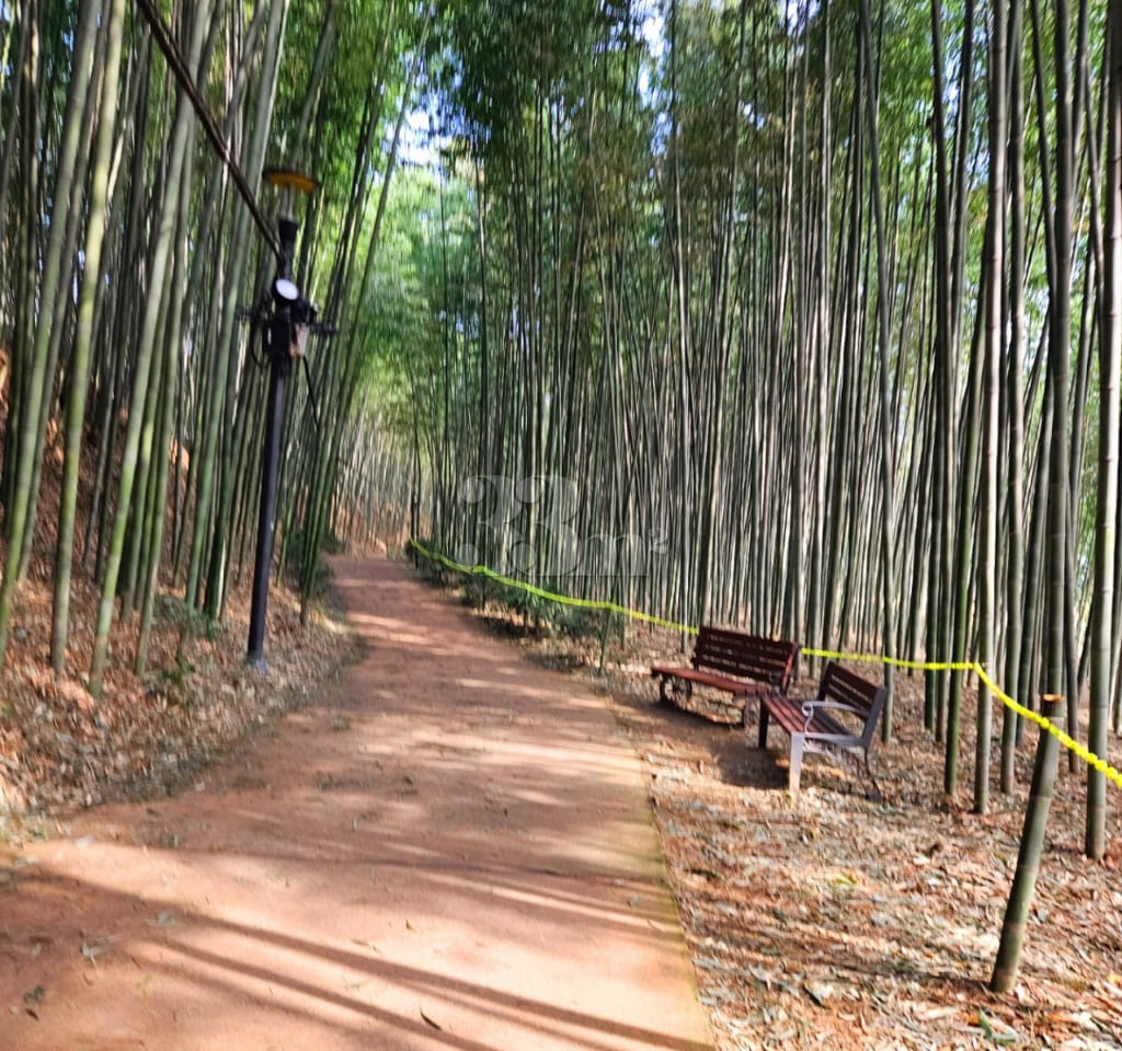 Gurye Hwangtobang Shelter/Sesimjeong 16th image