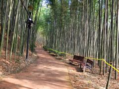Gurye Hwangtobang Shelter/Sesimjeong 16th image