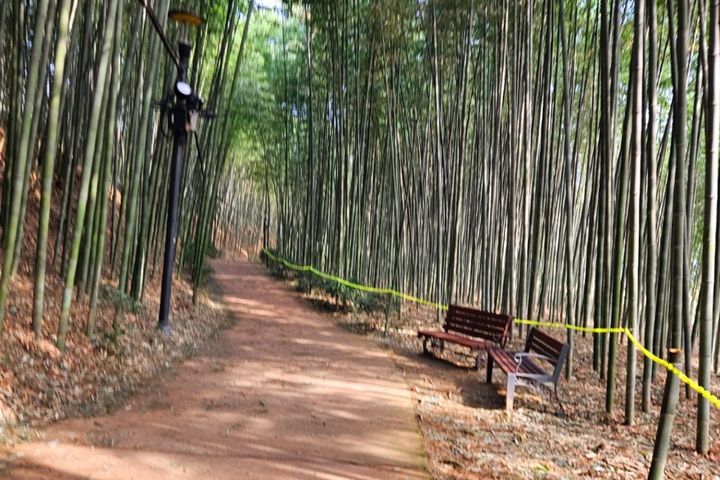 Gurye Hwangtobang Shelter/Sesimjeong 16th image